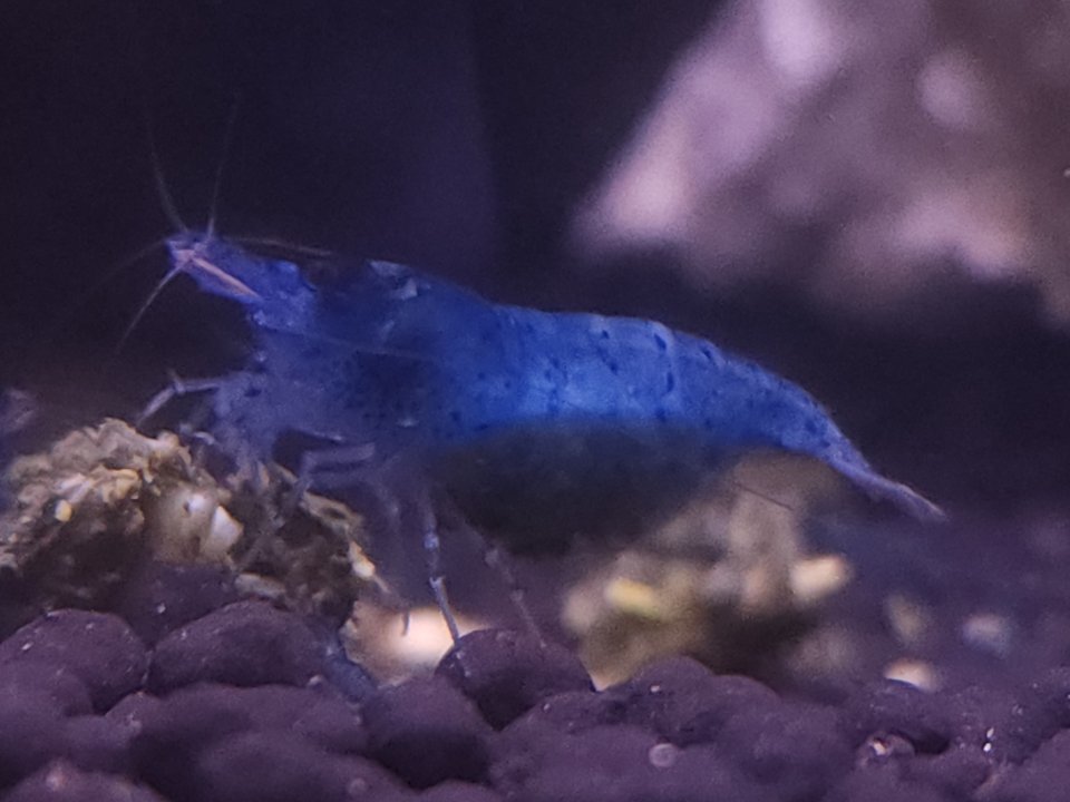 20230708_181946.jpg