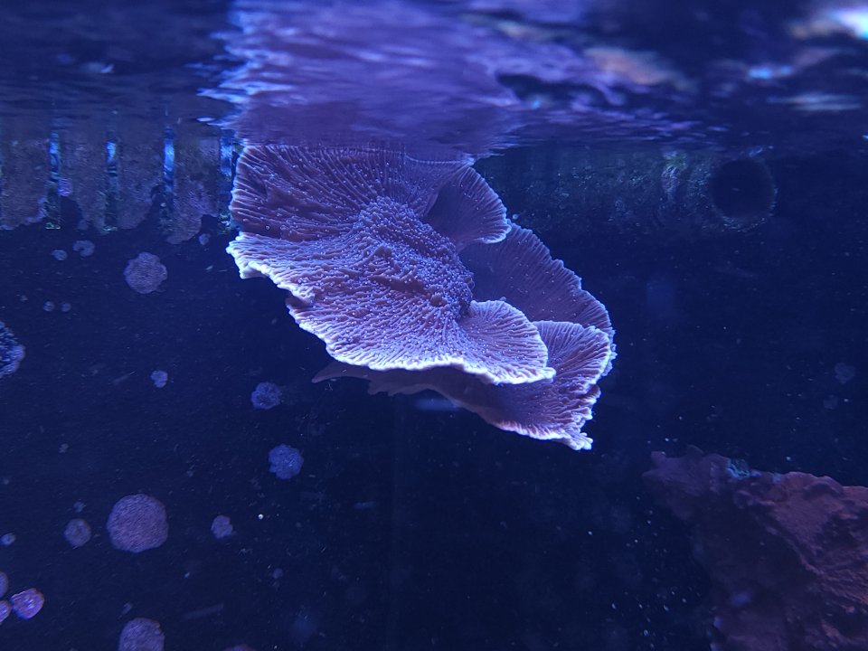 20230725_122057.jpg