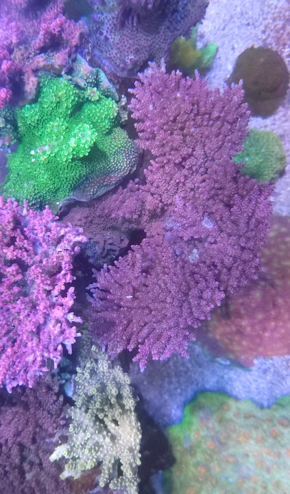 20230803_093742.jpg