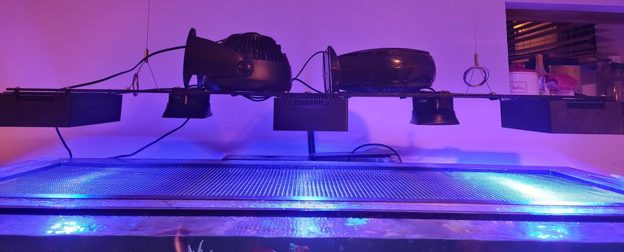 20231022_194128.jpg