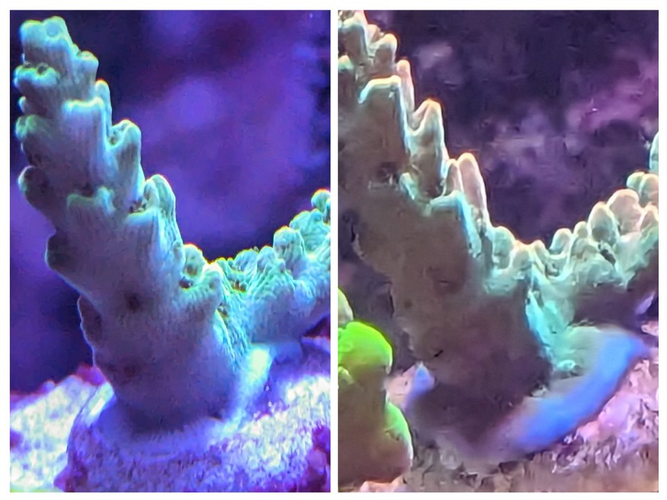 20231024_205537-COLLAGE.jpg