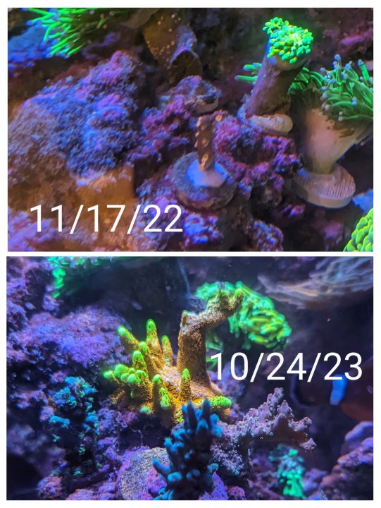 20231024_212912-COLLAGE~2.jpg