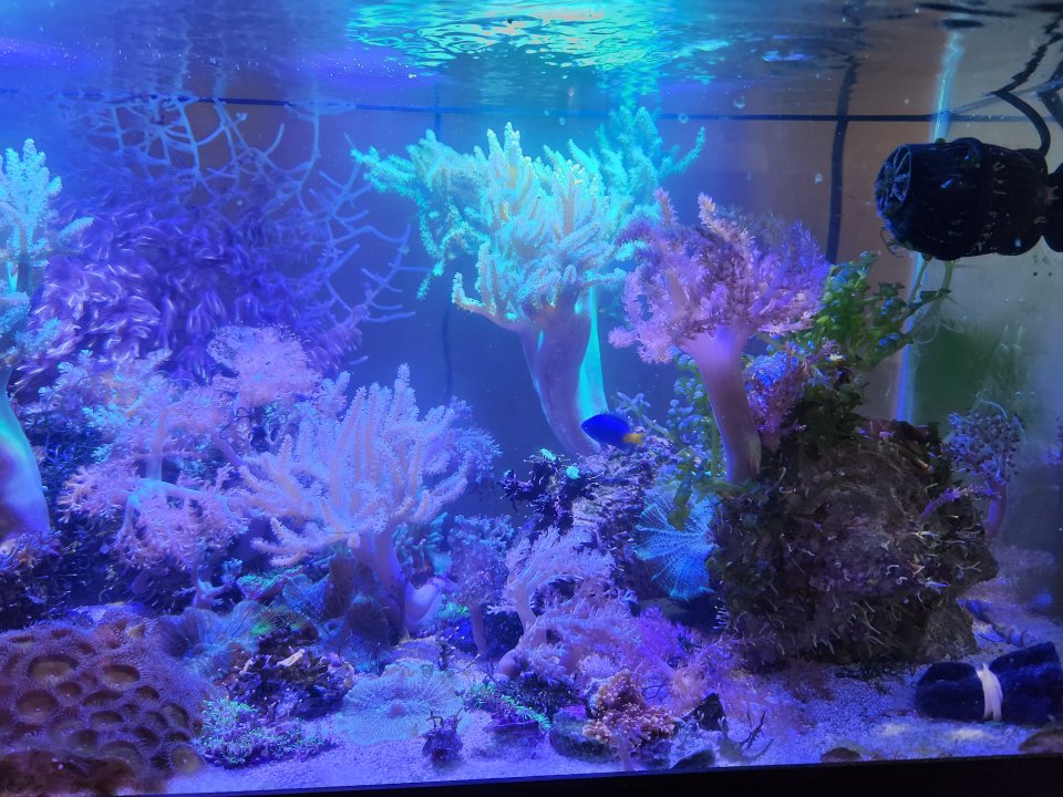 20231103_171944.jpg