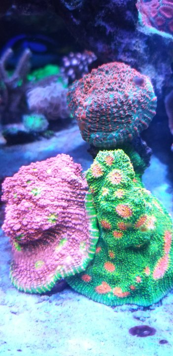 20231118_002823.jpg