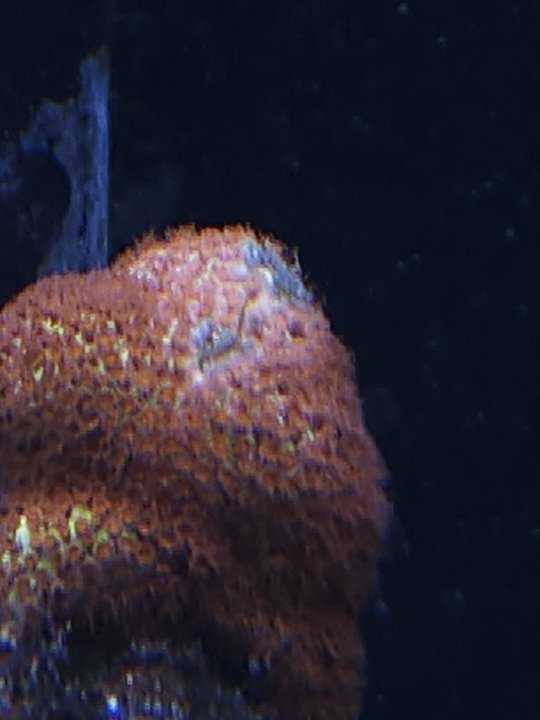 20231126_161355.jpg
