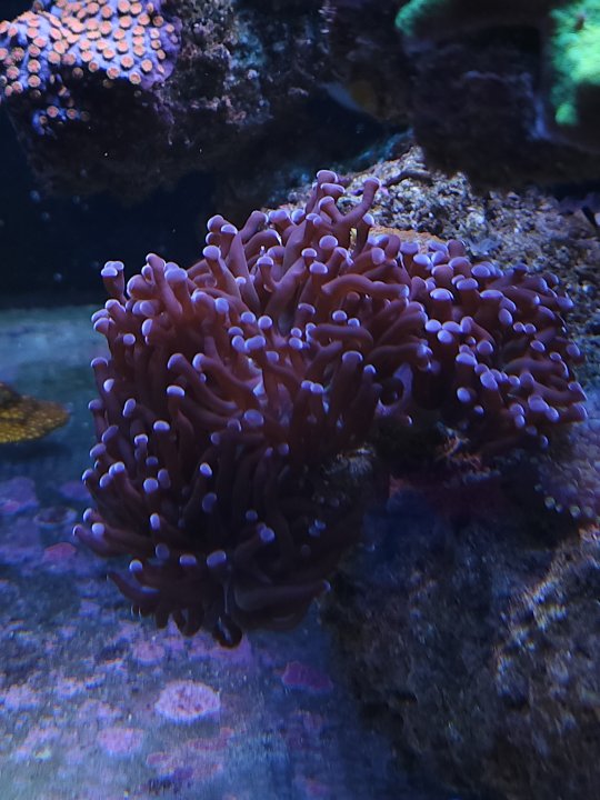 20231126_161741.jpg