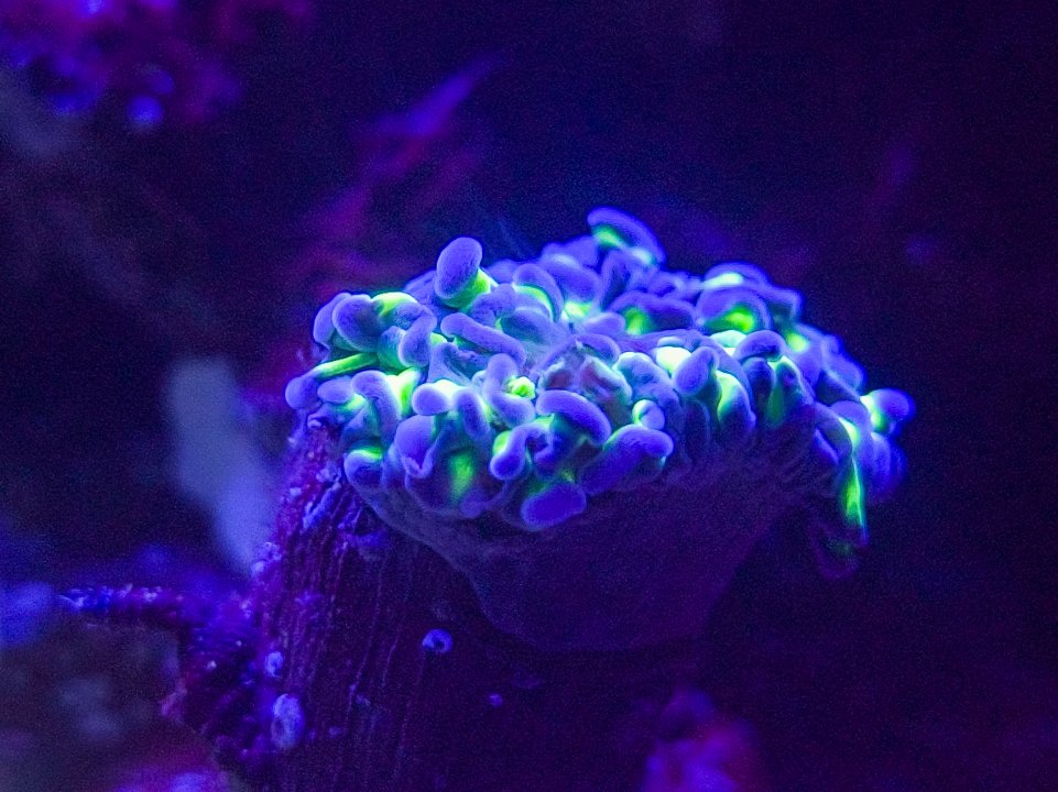 20231130_224637.jpg