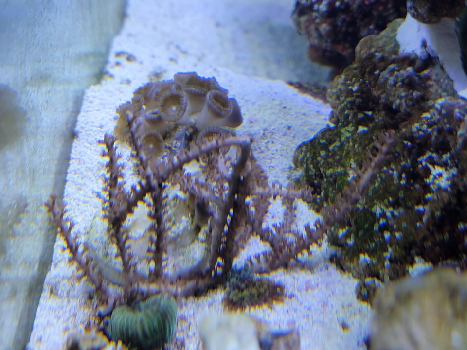 20231206_100501.jpg