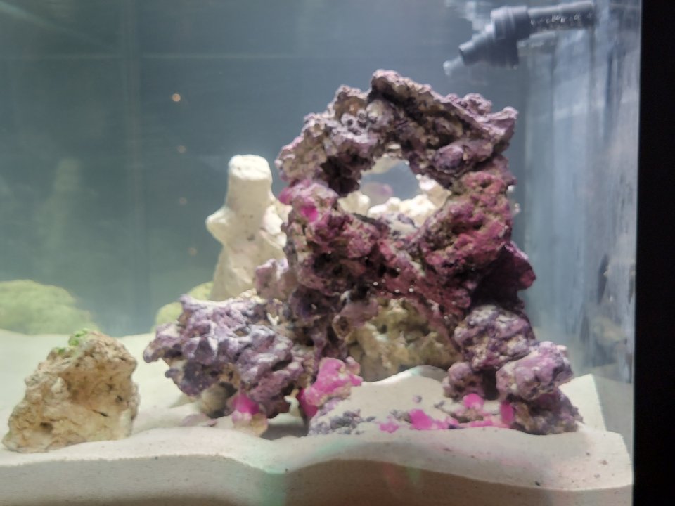 20231214_212049.jpg
