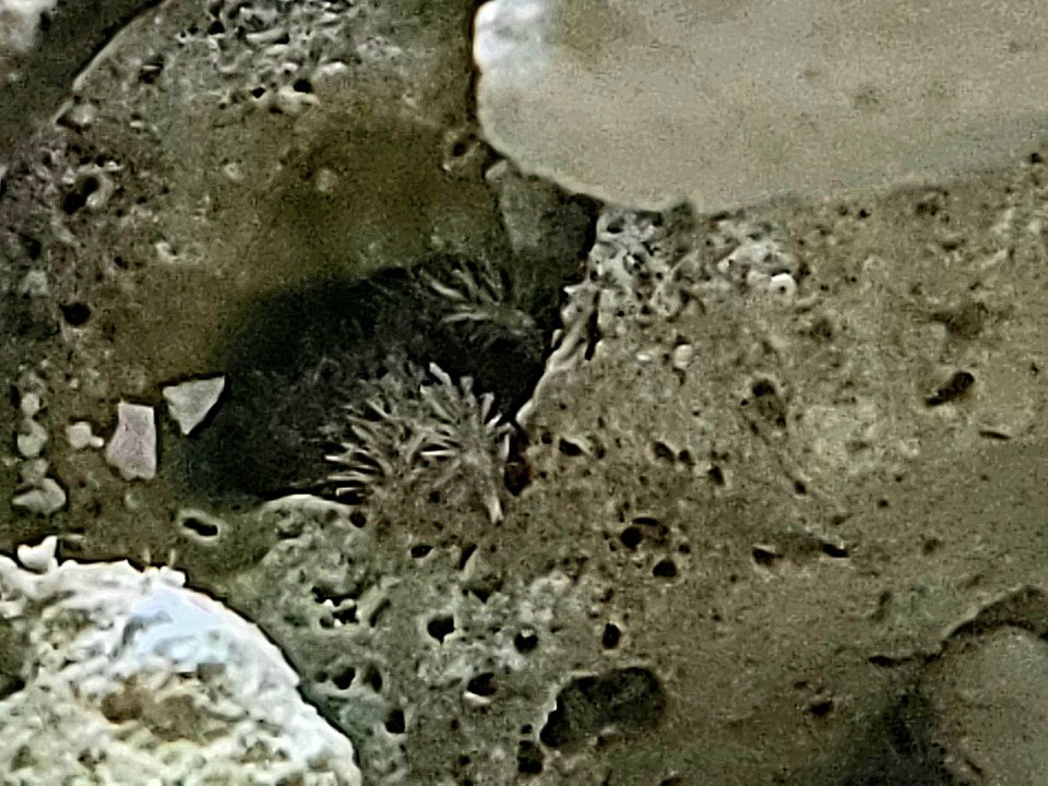 20231215_124025.jpg