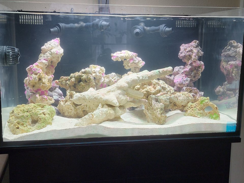 20231217_120017.jpg