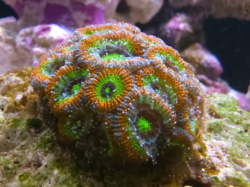 20231231_170636.jpg
