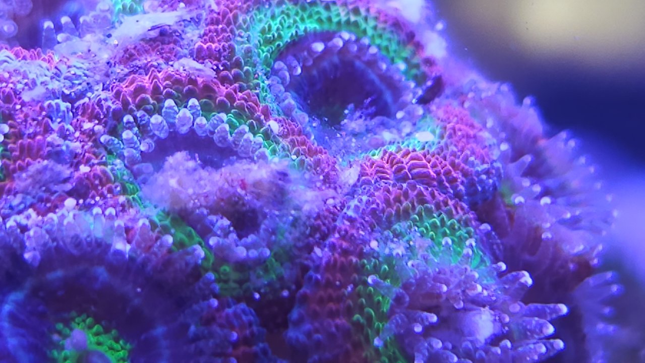 20240114_141747.jpg