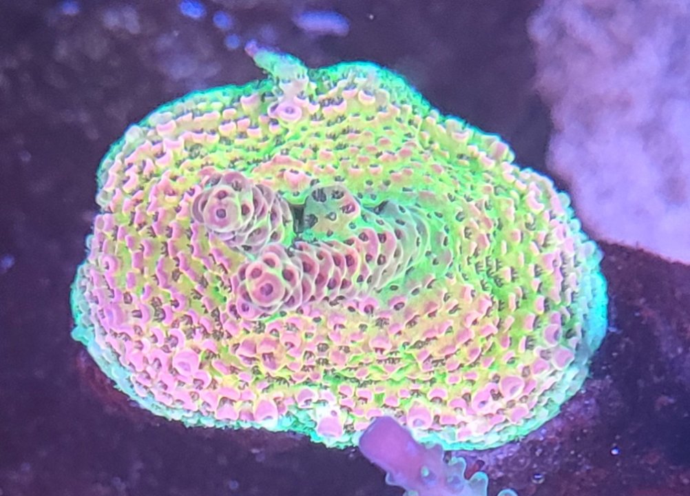 20240122_195317.jpg