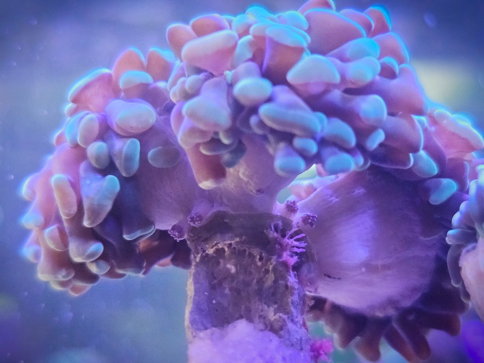 20240128_101229.jpg