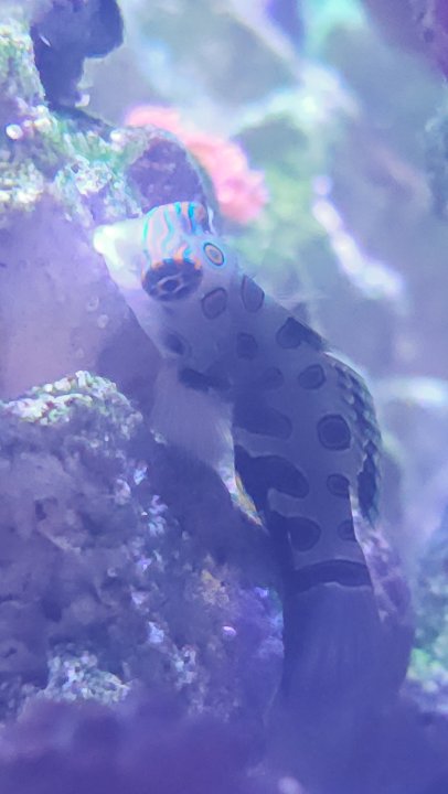 20240310_090745.jpg