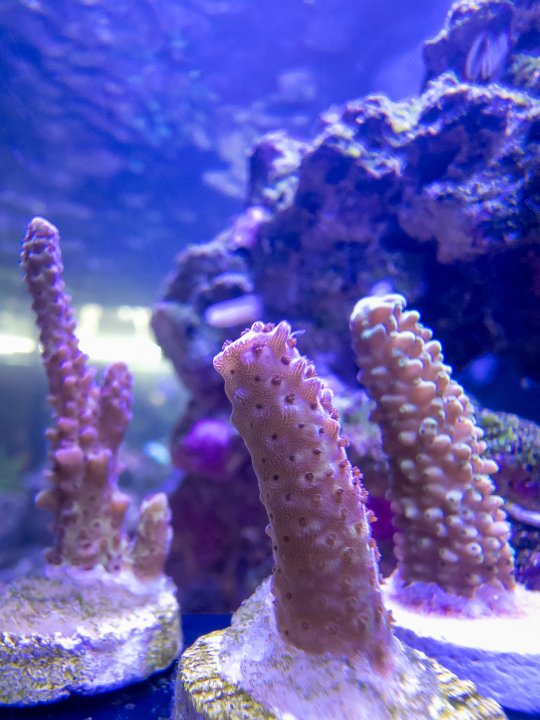 20240310_092840.jpg
