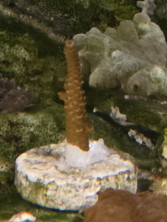 20240313_085141.jpg