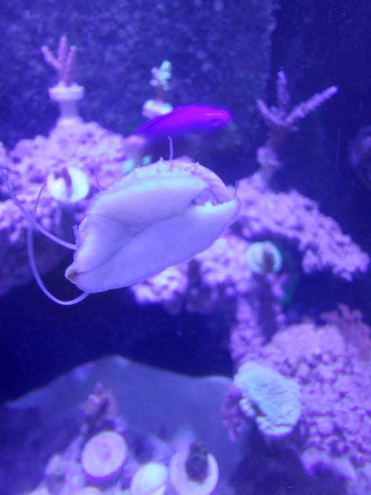20240319_173008.jpg