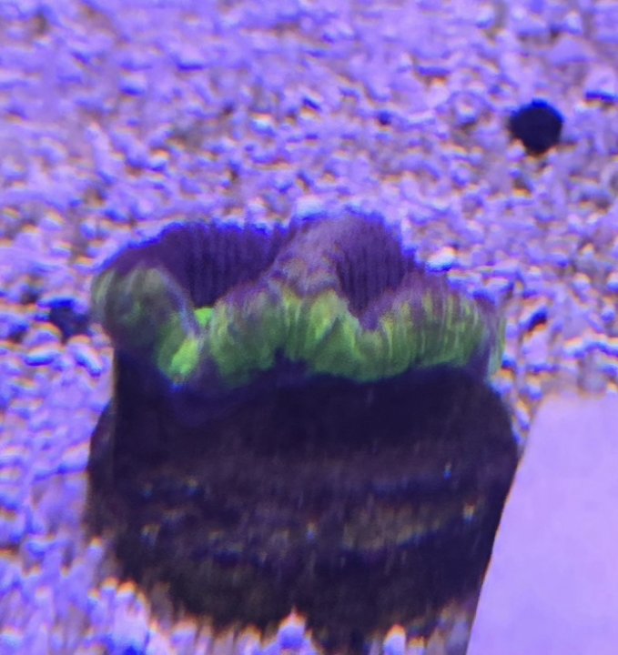 20240504_192618.jpg