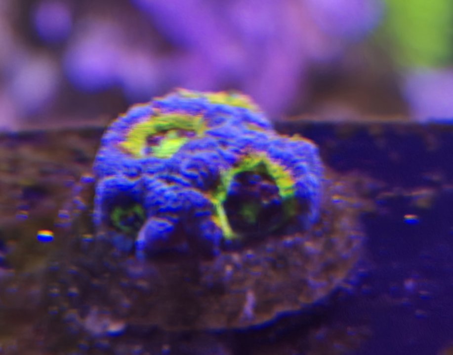 20240522_190309.jpg
