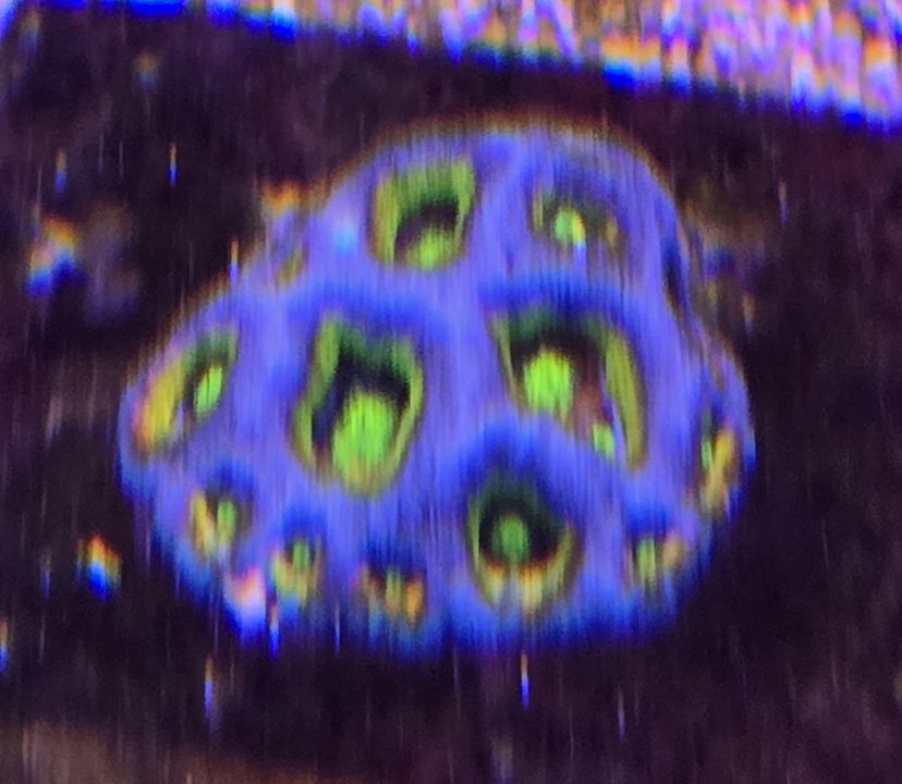 20240522_190826.jpg