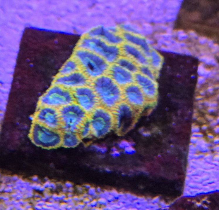 20240522_191100.jpg