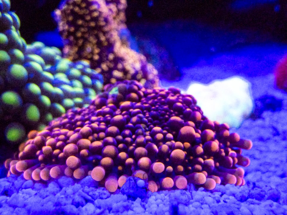 20240607_210216.jpg
