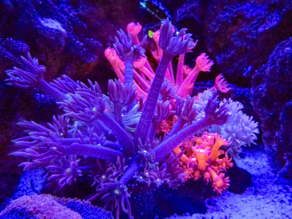 20240607_210254.jpg