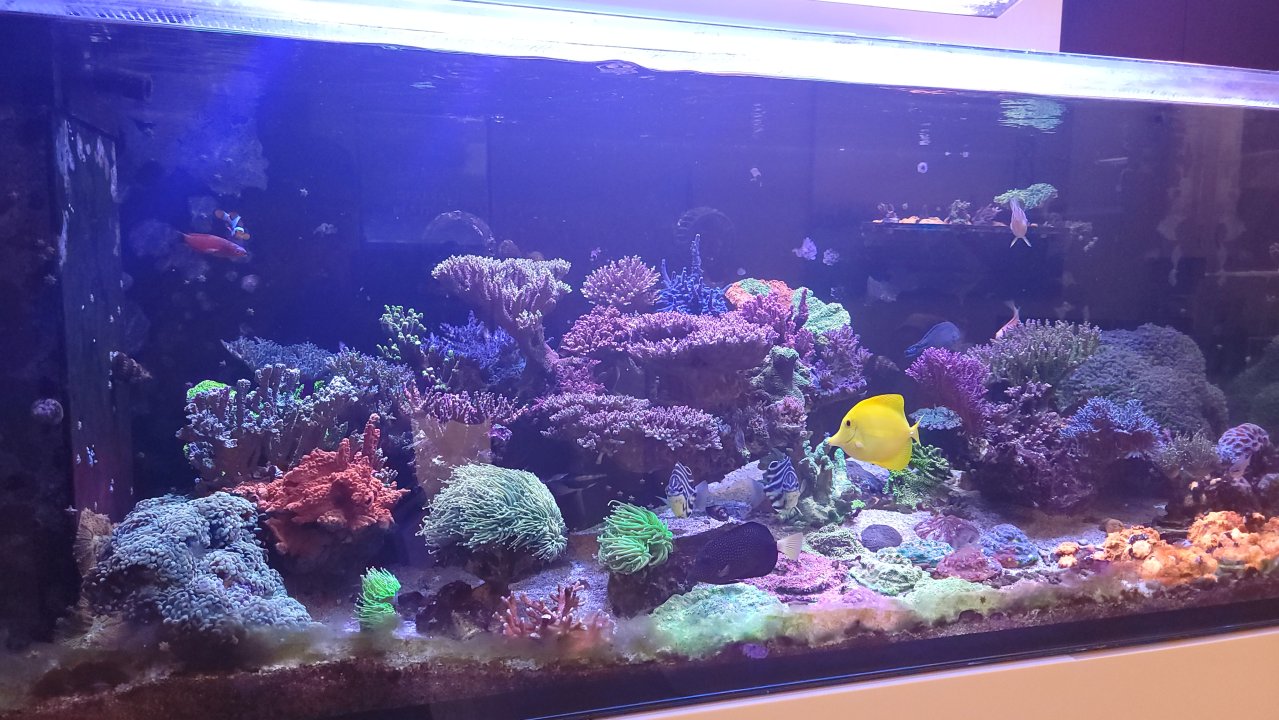 20240613_122452.jpg