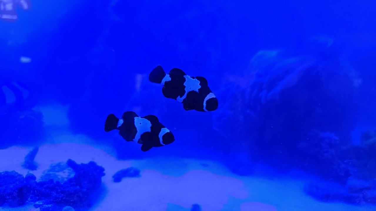 20240624_113956.jpg