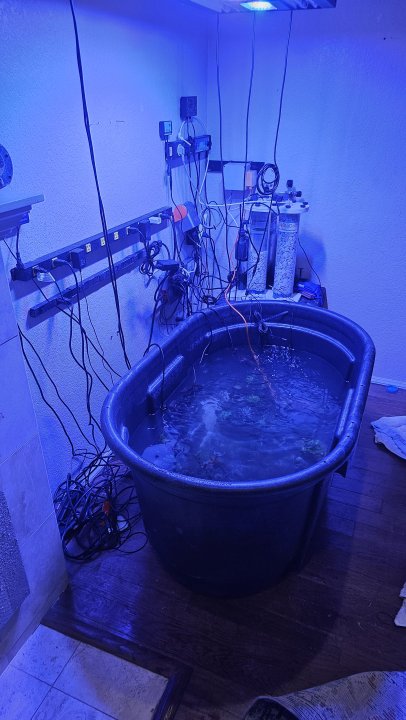 20250216_230652.jpg