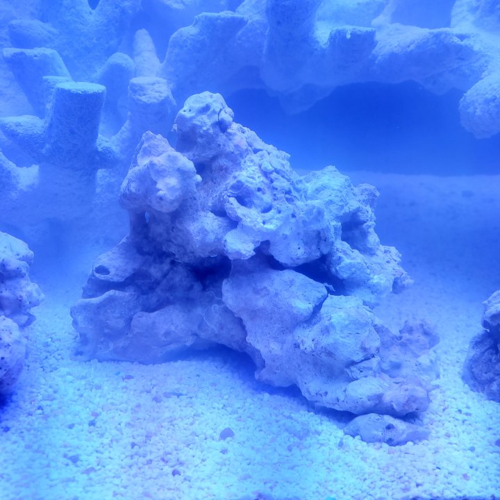 20250225_170558.jpg