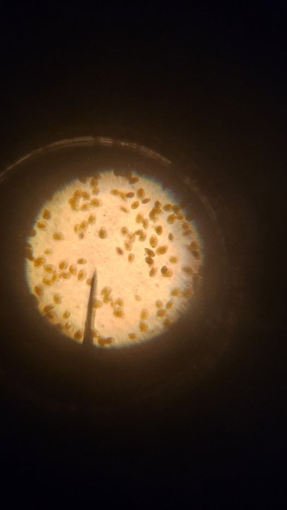20250314_191516.jpg