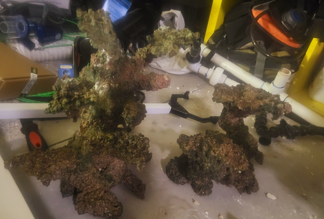 20250318_164621.jpg
