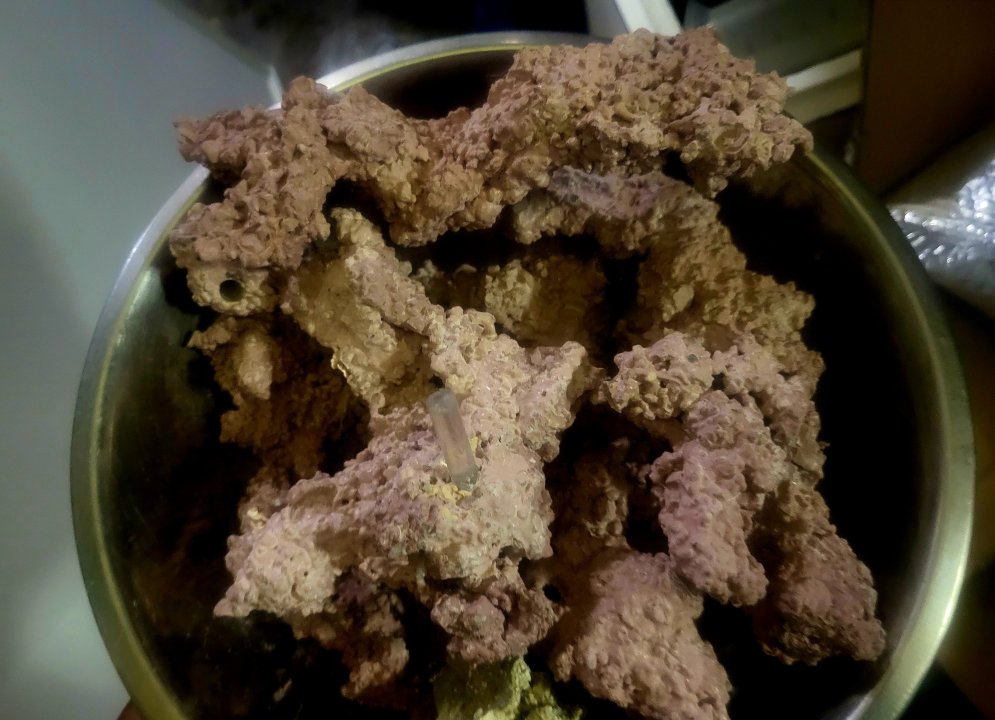 20250318_164647.jpg