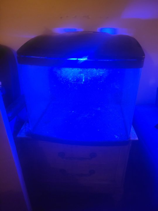 20250321_211719.jpg