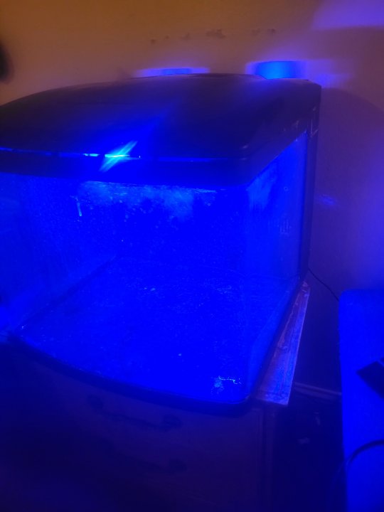 20250321_211723.jpg