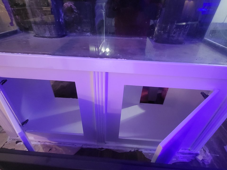 20250323_194823.jpg