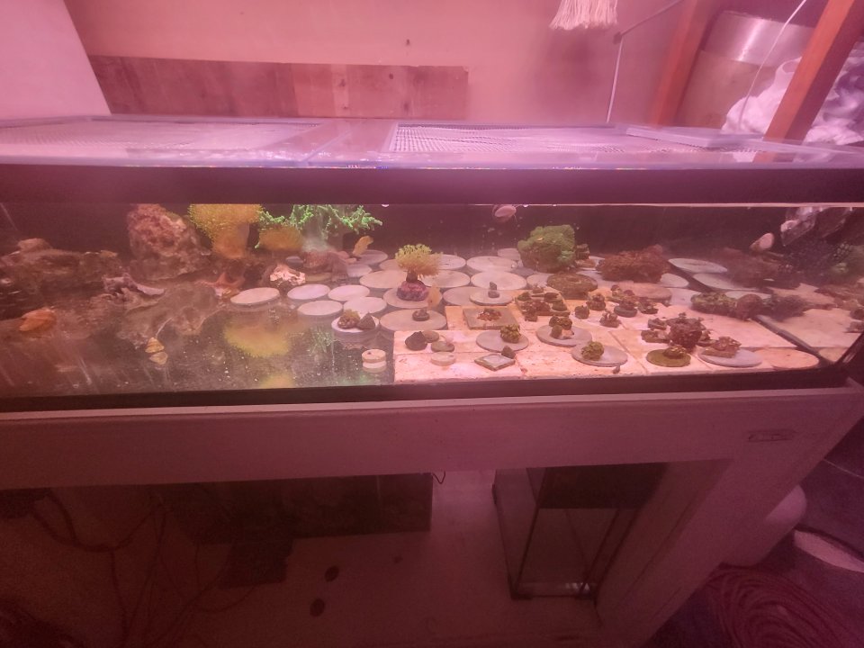 20250325_213517.jpg