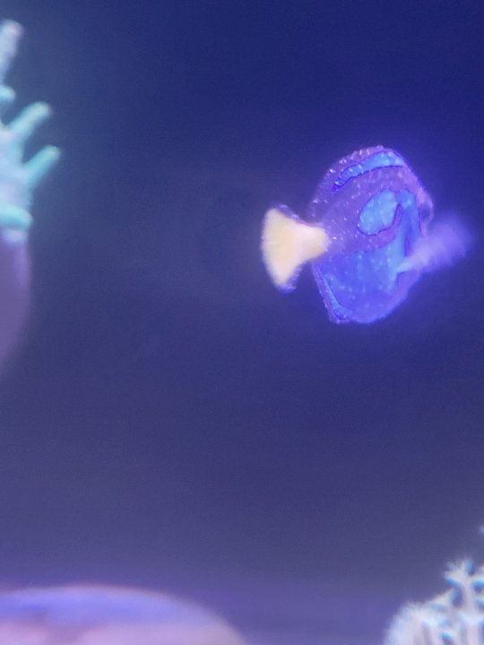 20250331_214001.jpg