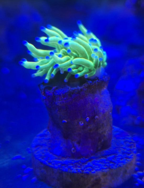 20250416_104728.jpg