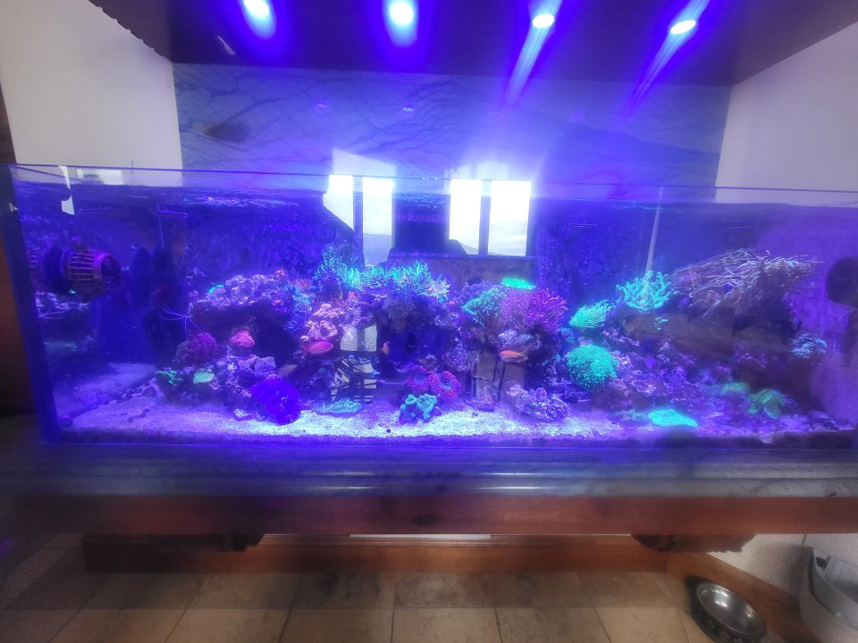 20250426_162126.jpg