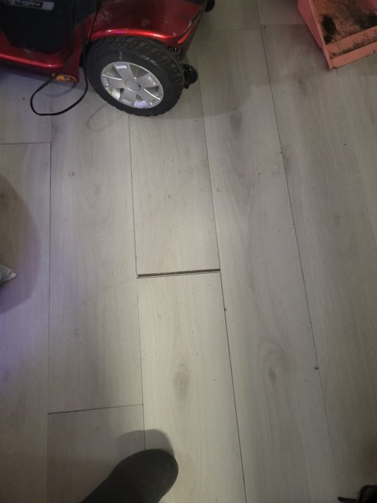 20250427_184202.jpg