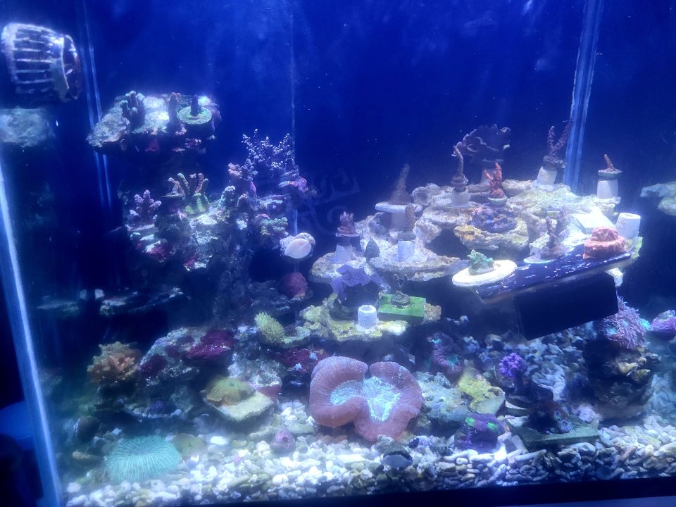 20250515_153338.jpg