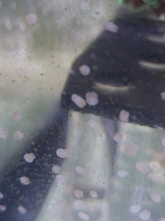 20250515_175712.jpg
