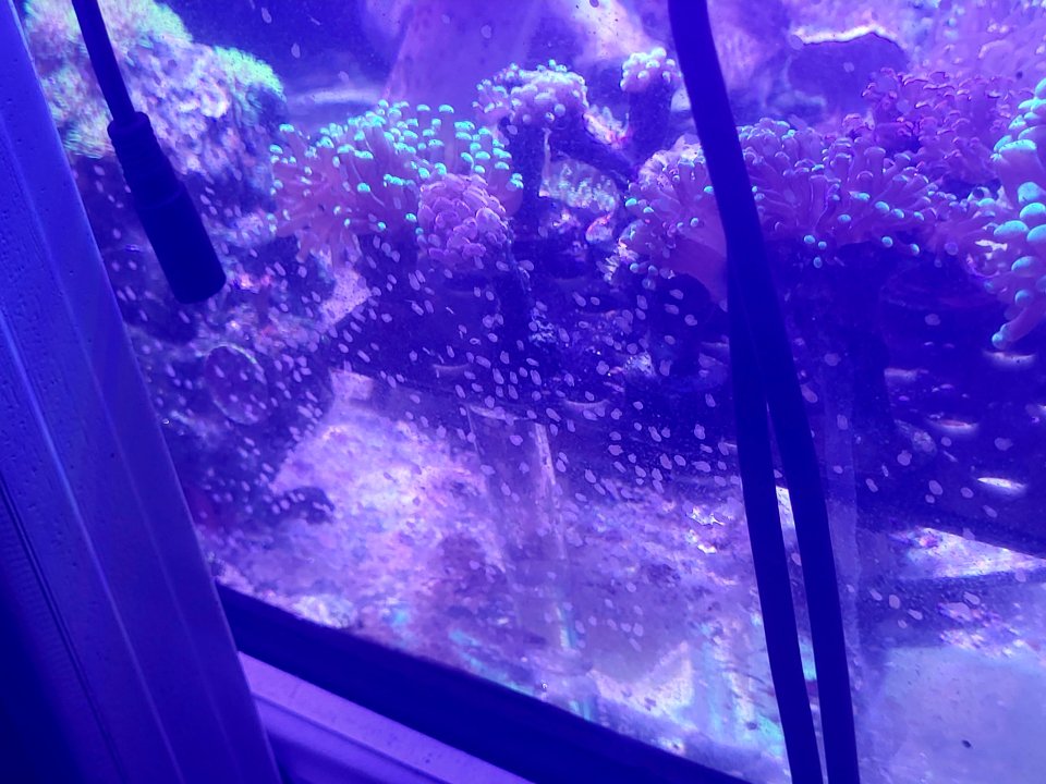 20250515_175832.jpg