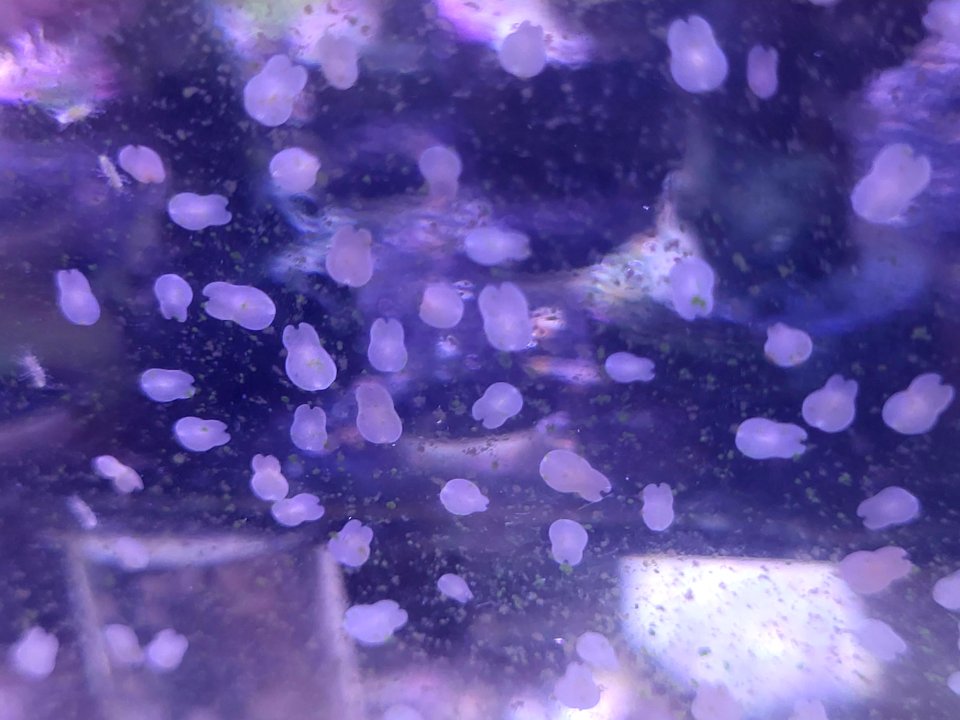 20250515_175845.jpg
