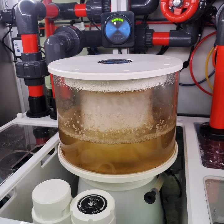 20250516_100951.jpg