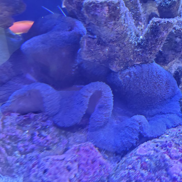 20250516_145515.jpg